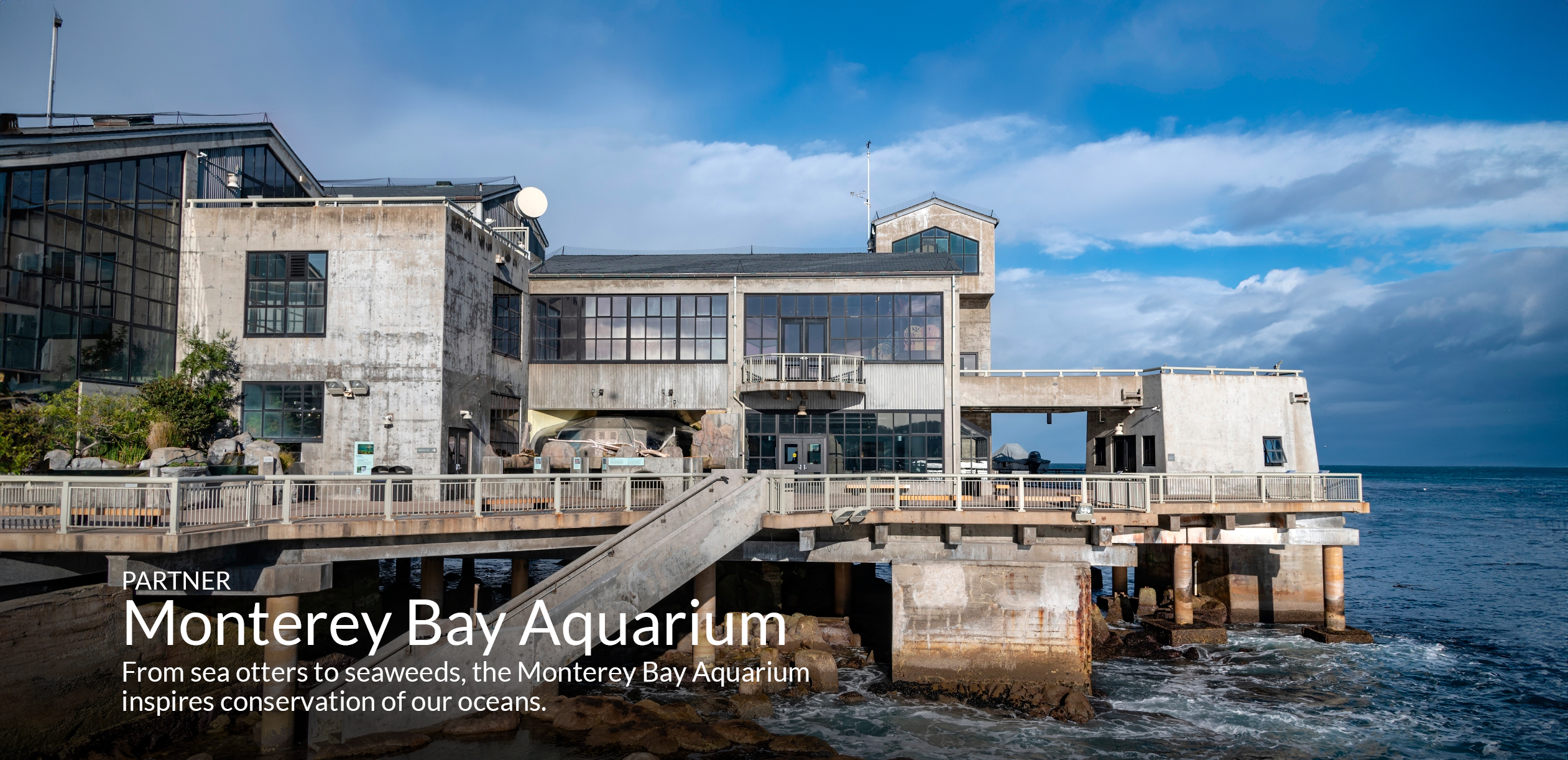 PARTNER Monterey Bay Aquarium From sea otters to seaweeds, the Monterey Bay Aquarium inspires conservation of our oceans.